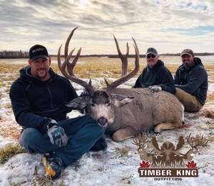 Mule deer hunting in Alberta, Canada.